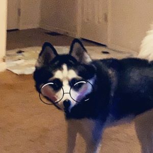 Meet your Posher, Nikita